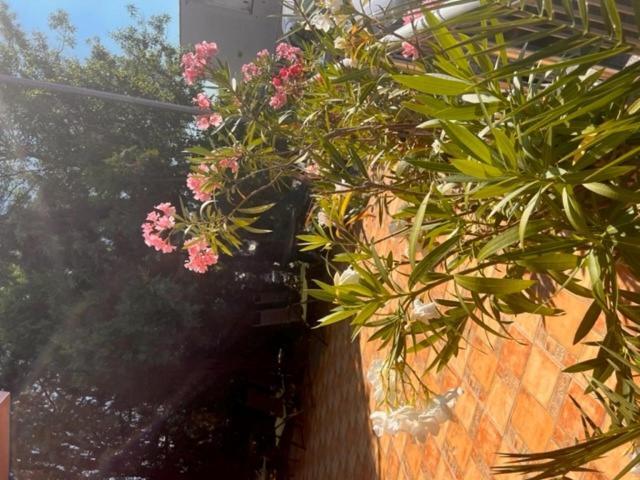 לוזנטס Hotel Paradise מראה חיצוני תמונה